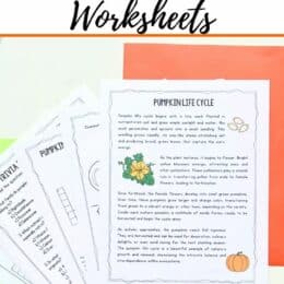 five fanned out pages lying on top of bright green and light red colored papers