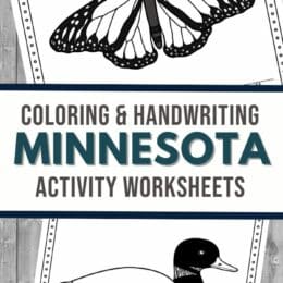 two sample images of the Minnesota activity worksheets