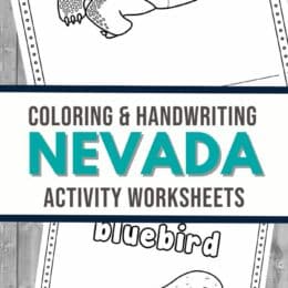 two digital page images showing Nevada state worksheets