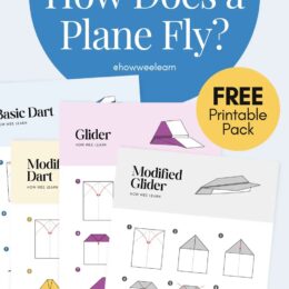 sample page images showing different paper airplane folding designs