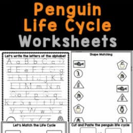 six digital images of pages from the penguin life cycle worksheets
