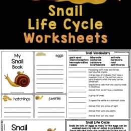 digital sample images of snail life cycle worksheets
