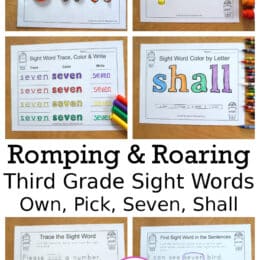 six images showing sample pages of sight word worksheets (set 8)