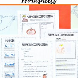 four printed pages of the pumpkin decomposition worksheets spread out on marbled table and red and orange paper