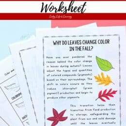 four fanned out pages from the why leaves change packet