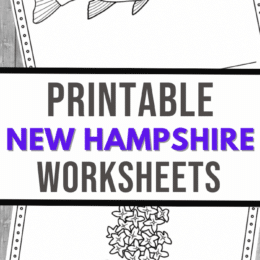 two coloring pages of New Hampshire state symbols - fish and flower