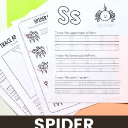 four printed spider handwriting pages fanned out on table top