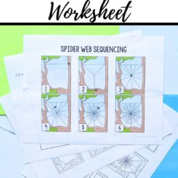 several printed pages spread out showing the spider web sequencing worksheet activities