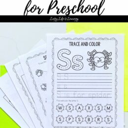 a spread of Spider themed worksheets