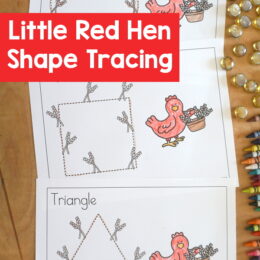 three printed Little red hen shape tracing pages spread out showing a circle, square, and triangle shape to trace