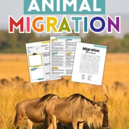 background photograph of migratory animals with thre digital page images overlaid