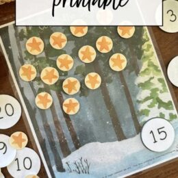 laminated printed image of snowy forest with stars scattered and the number 15 in the corrner (counting the stars)