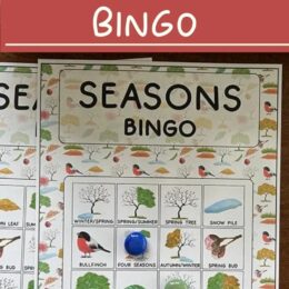 printed copy of Seasonal BINGO game board with marker beads laid on it