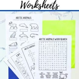 printed pages from the arctic animals worksheets fanned out on a tabletop