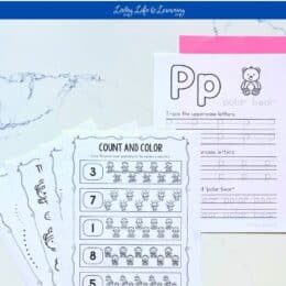printed pages from the polar bear preschool worksheets packet