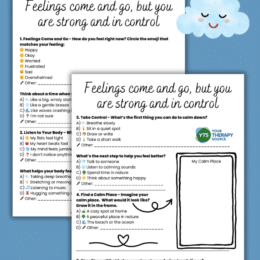 two digital page images of the emotional regulation activity