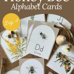 printable honey bee themed alphabet cards spread out on a wooden table