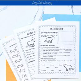 three printed and fanned out pages from the arctic fox worksheets set