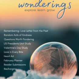 image of ice bubble with topics listed that are included in the Wonderings eZine