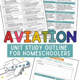 digital page images from the aviation unit study outline