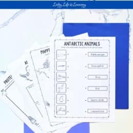 printed fanned out Antarctica worksheet pages