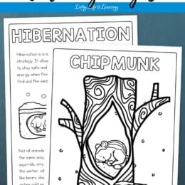 two digital coloring page images of hibernating animal and fact sheet