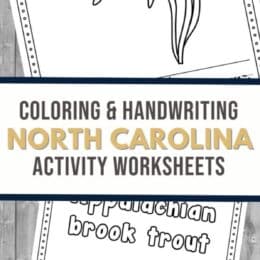 two digital pages showing several North Carolina state symbols