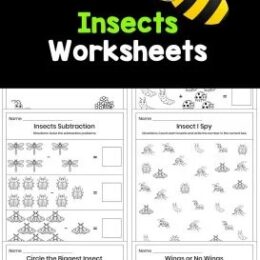 six digital pages of insect worksheets