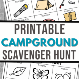 two digital page images of camping themed scavenger hunt - one color, one black & white