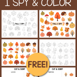 free fall I Spy printables for kids color and black-and-white boards from 1+1+1=1