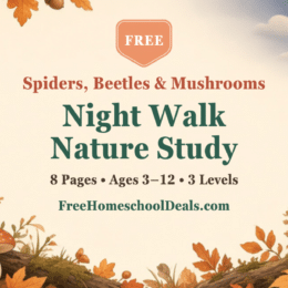 Free night walk nature study printable pages with mushrooms, beetles and spiders for ages 3–12
