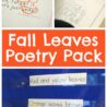 free fall poetry pack K-2 26 pages This Reading Mama