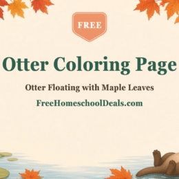 Free otter coloring page for kids: otter floating on its back in a pond with maple leaves